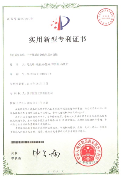ZL 2016 2 0889871.8.jpg